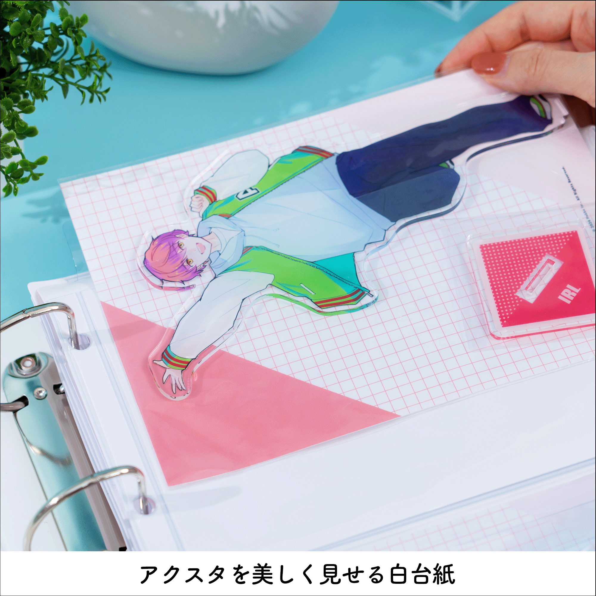 イレール PVCリフィル 2ポケット